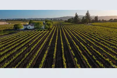 4125 Big Ranch Road, Napa, CA 94558 - Photo 3