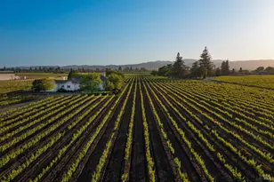 4125 Big Ranch Rd, Napa, CA 94558 - Photo 3