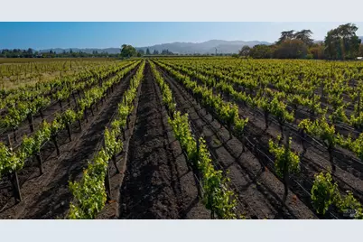 4125 Big Ranch Road, Napa, CA 94558 - Photo 93