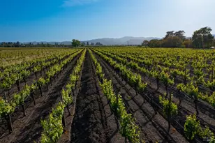 4125 Big Ranch Rd, Napa, CA 94558 - Photo 93