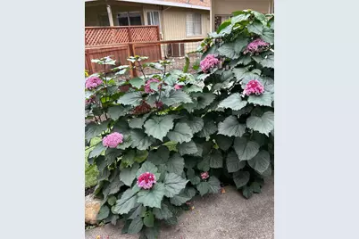 43 Aspen Meadows Circle, Santa Rosa, CA 95409 - Photo 7