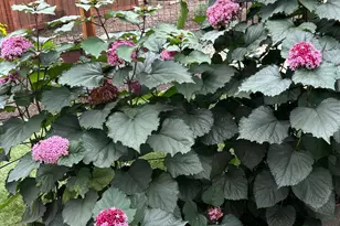 43 Aspen Meadows Cir, Santa Rosa, CA 95409 - Photo 7