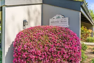 3482 Shelter Creek Dr, Napa, CA 94558 - Photo 35