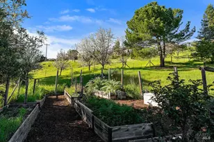 23121 Vineyard Rd, Geyserville, CA 95441 - Photo 49