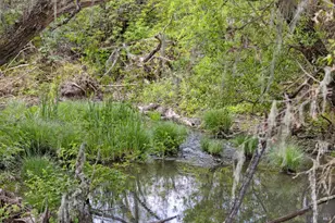 3048 Myrtledale Rd, Calistoga, CA 94515 - Photo 35