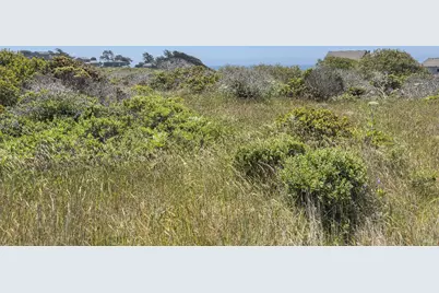 56 Sea Meadow Drive, The Sea Ranch, CA 95497 - Photo 15