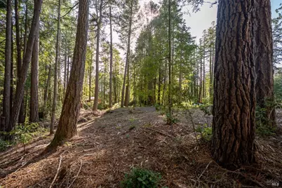 22096 Umland Circle, Jenner, CA 95450 - Photo 13