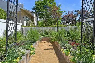 144 Morningside Dr, San Anselmo, CA 94960 - Photo 5