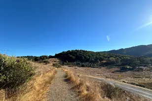 121 San Marino Dr, San Rafael, CA 94901 - Photo 49