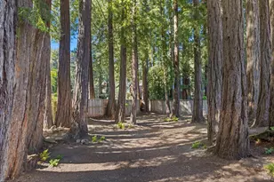 104 Baltimore Ave, Larkspur, CA 94939 - Photo 25