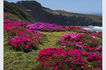 35148 Crows Nest Drive, The Sea Ranch, CA 95497 - Photo 87