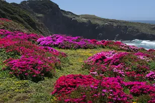 35148 Crows Nest Dr, The Sea Ranch, CA 95497 - Photo 87