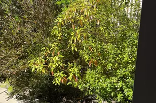 541 Redmont, Rio Vista, CA 94571 - Photo 27