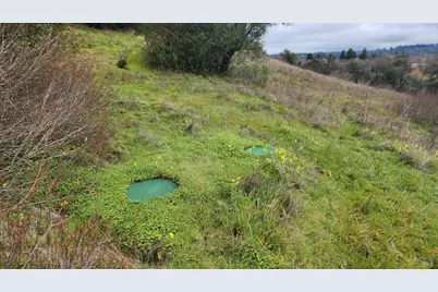 1077 Westside Road, Healdsburg, CA 95448 - Photo 13