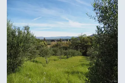 1077 Westside Road, Healdsburg, CA 95448 - Photo 11