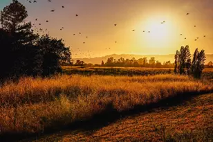 21831 Schellville Rd, Sonoma, CA 95476 - Photo 29