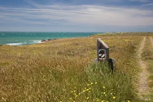 39153 Curlew Reach, The Sea Ranch, CA 95497 - Photo 29