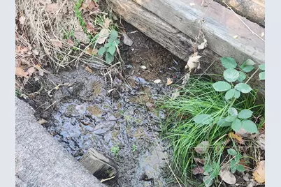 14411 Poonkinney Road, Dos Rios, CA 95429 - Photo 5