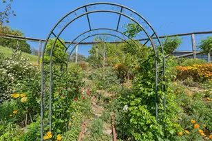 10 Elkhorn Way, San Anselmo, CA 94960 - Photo 57