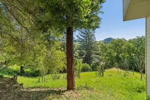 10 Elkhorn Way, San Anselmo, CA 94960 - Photo 65