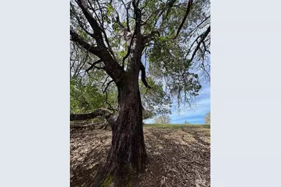 0 East Side Road, Willits, CA 95490 - Photo 7