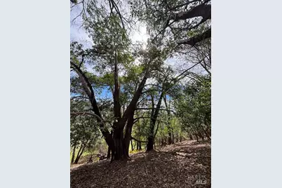 0 East Side Road, Willits, CA 95490 - Photo 3