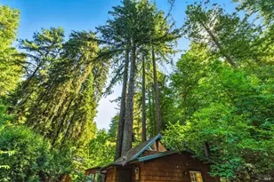 7395 Sir Francis Drake Blvd, Lagunitas, CA 94938 - Photo 49