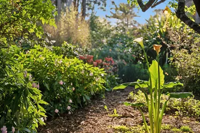 180 Maple Road, Bolinas, CA 94924 - Photo 93