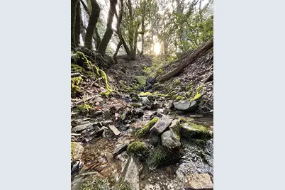 74000 Island Mountain Road, Laytonville, CA 95454 - Photo 29