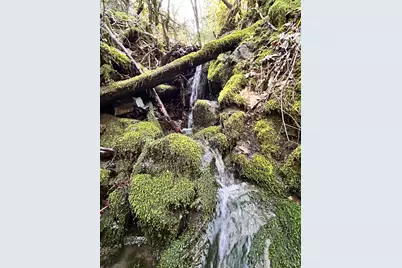 74000 Island Mountain Road, Laytonville, CA 95454 - Photo 27