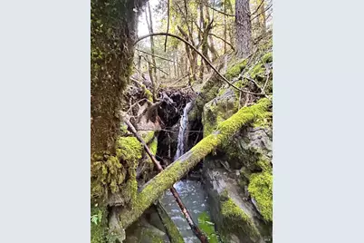 74000 Island Mountain Road, Laytonville, CA 95454 - Photo 3