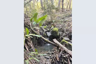 74000 Island Mountain Road, Laytonville, CA 95454 - Photo 31