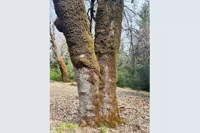 74000 Island Mountain Road, Laytonville, CA 95454 - Photo 25