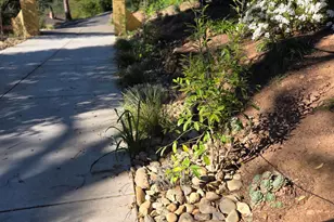 460 Bella Vista Dr, Angwin, CA 94508 - Photo 5