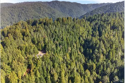 40421 Mountain View Road, Manchester, CA 95459 - Photo 31