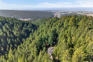 40421 Mountain View Rd, Manchester, CA 95459 - Photo 29