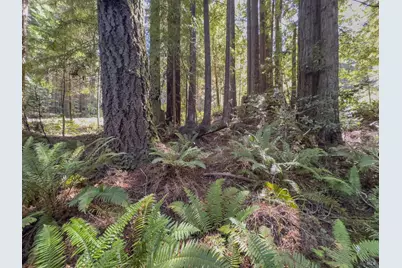 36505 Deep Woods Drive, The Sea Ranch, CA 95497 - Photo 9