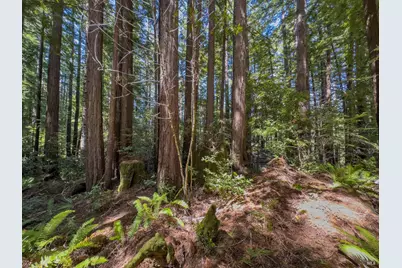 36505 Deep Woods Drive, The Sea Ranch, CA 95497 - Photo 3