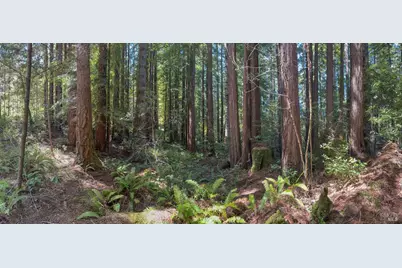 36505 Deep Woods Drive, The Sea Ranch, CA 95497 - Photo 7