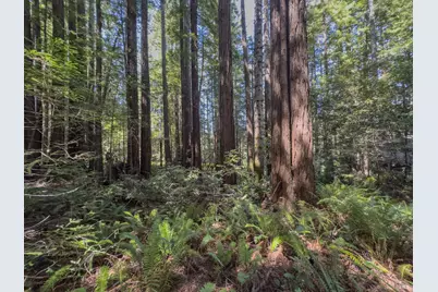 36505 Deep Woods Drive, The Sea Ranch, CA 95497 - Photo 13