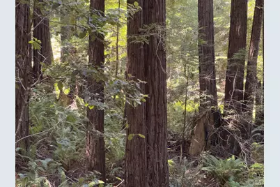 36505 Deep Woods Drive, The Sea Ranch, CA 95497 - Photo 11