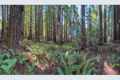 36505 Deep Woods Drive, The Sea Ranch, CA 95497 - Photo 1