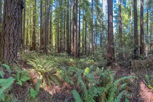 36505 Deep Woods Dr, The Sea Ranch, CA 95497 - Photo 1