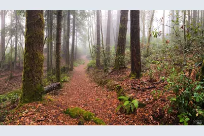 36505 Deep Woods Drive, The Sea Ranch, CA 95497 - Photo 19