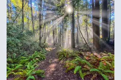 36505 Deep Woods Drive, The Sea Ranch, CA 95497 - Photo 17