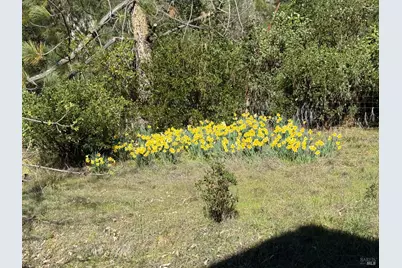 46960 Fox Rock Road, Laytonville, CA 95454 - Photo 27