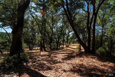 0 Mount Veeder Road, Saint Helena, CA 94574 - Photo 17