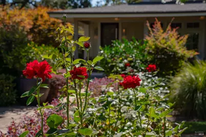 1551 Spring Street, Saint Helena, CA 94574 - Photo 45