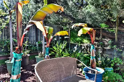 743 Paula Lane, Petaluma, CA 94952 - Photo 9