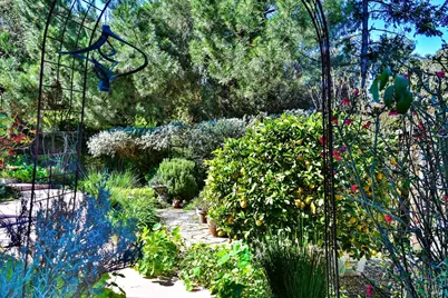 743 Paula Lane, Petaluma, CA 94952 - Photo 27